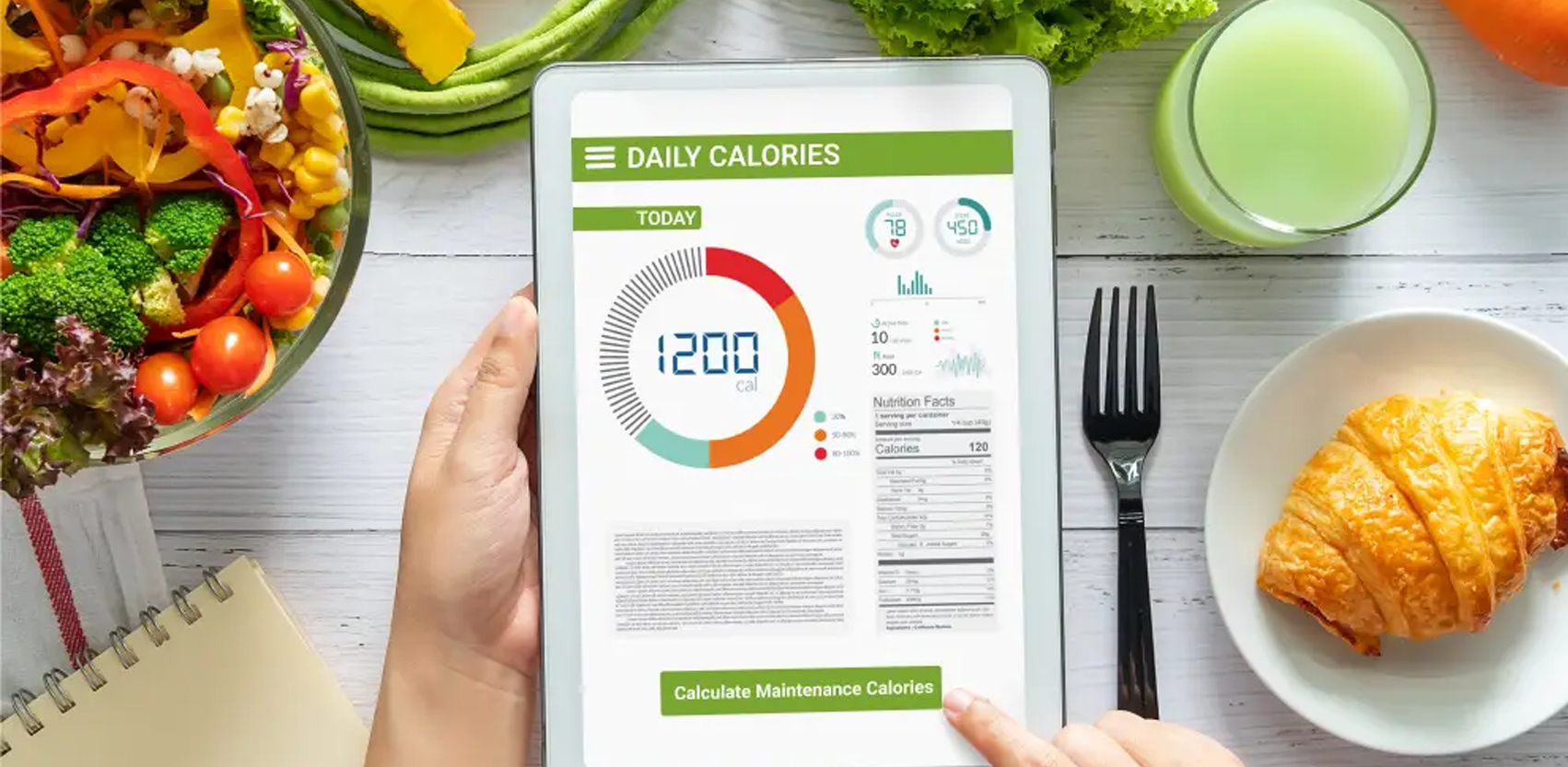 AI Chatbot for Out2Sol